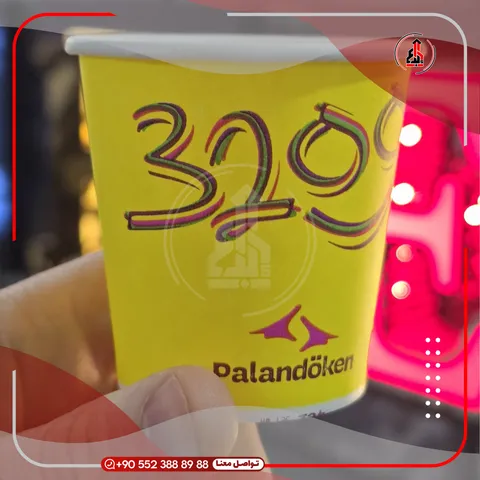 كأس كرتوني مطبوع — Palandöken